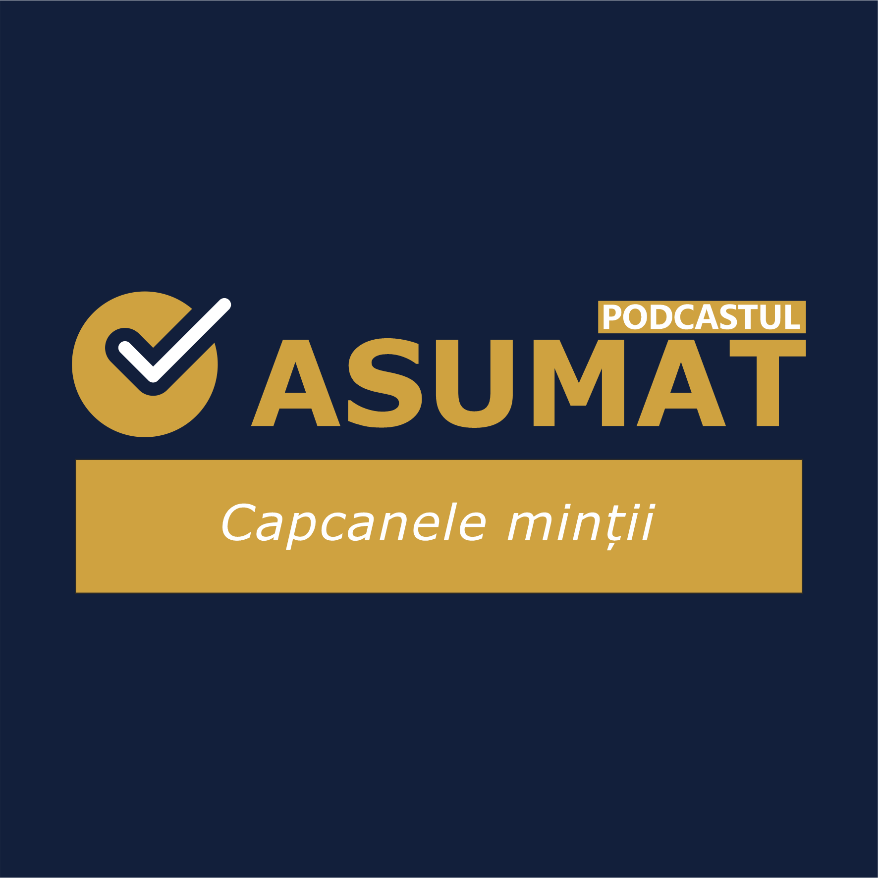 E3 S1 Capcanele minții